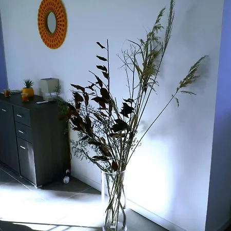 Corse Location アパート *