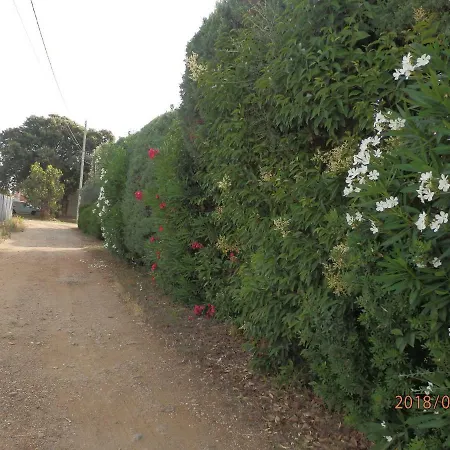 Corse Location Διαμέρισμα Linguizzetta