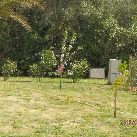 Corse Location * Linguizzetta