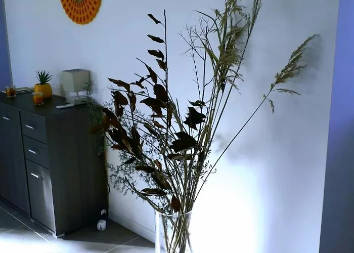 Corse Location Appartement *