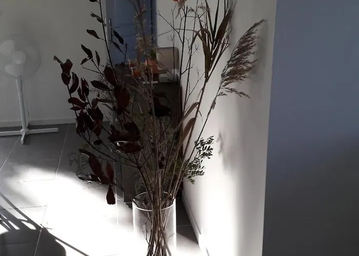 Corse Location Appartement