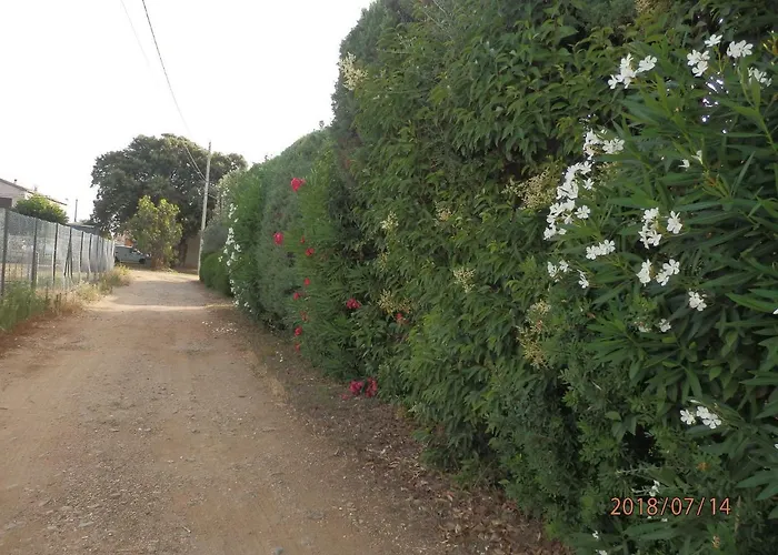 Corse Location Apartment Linguizzetta