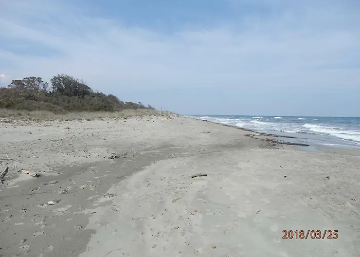 Corse Location Appartement